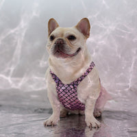 HKM-8166589 Dog Leisure Skirt in Lake Blue and Rose Red Made from Laser Bronzing Fish Scale Cloth