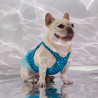 HKM-8166589 Dog Leisure Skirt in Lake Blue and Rose Red Made from Laser Bronzing Fish Scale Cloth