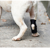 HKM-8166845 Anti-Licking Bandage for Dogs - Adjustable Size S, M, L, XL, Black Diving Material