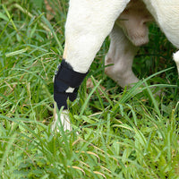 HKM-8166845 Anti-Licking Bandage for Dogs - Adjustable Size S, M, L, XL, Black Diving Material