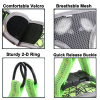 HKM-8169277 Adjustable Dog Leash Vest in Blue and Green, Sizes S to XL, Made of Polyester and Nylon