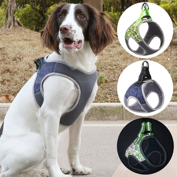 HKM-8169277 Adjustable Dog Leash Vest in Blue and Green, Sizes S to XL, Made of Polyester and Nylon