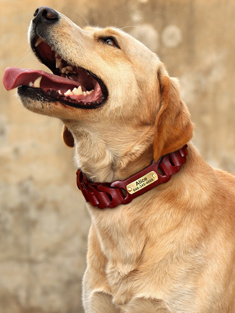 HKM-8171837 Braided Leather Dog Collar for Medium to Large Dogs - Dark Brown & Vermilion Cowhide Design