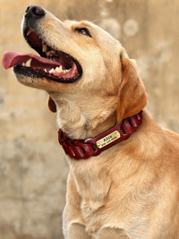 HKM-8171837 Braided Leather Dog Collar for Medium to Large Dogs - Dark Brown & Vermilion Cowhide Design
