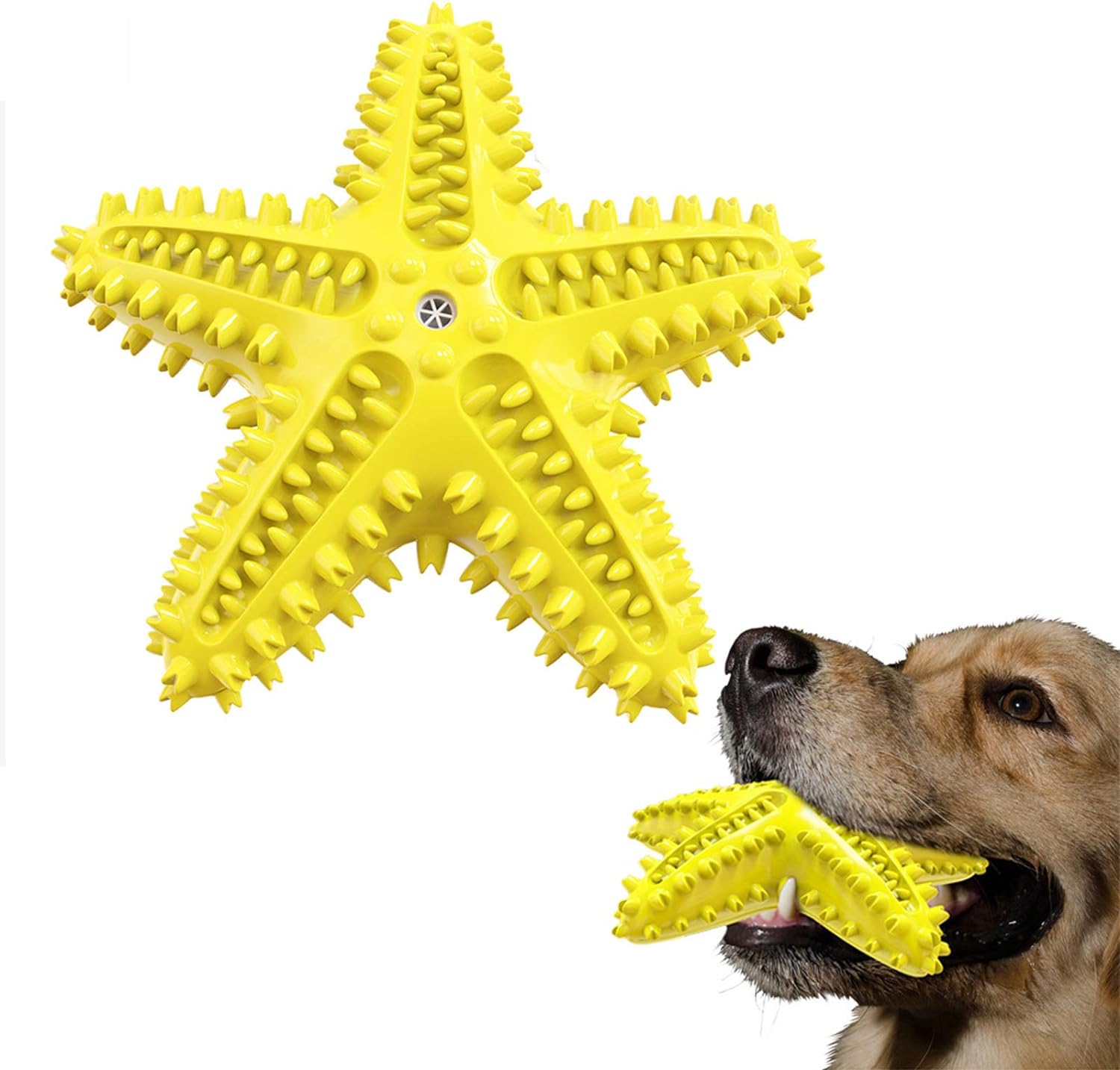 HKM-8179901 Natural Starfish Toothbrush for Small and Medium Dogs - Effective Dental Care Tool