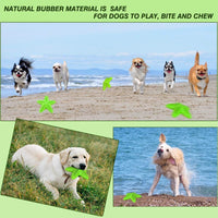 HKM-8179901 Natural Starfish Toothbrush for Small and Medium Dogs - Effective Dental Care Tool