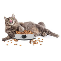 HKM-8181693 Durable Stainless Steel Pet Bowl with Non-Slip Rubber Base and Fade-Resistant Design