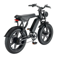 HKM-818323 750W/1000W 48V 15Ah Rear Hub Motor Electric Bicycle with 20 Inch Fat Tires and 7-Speed Gears