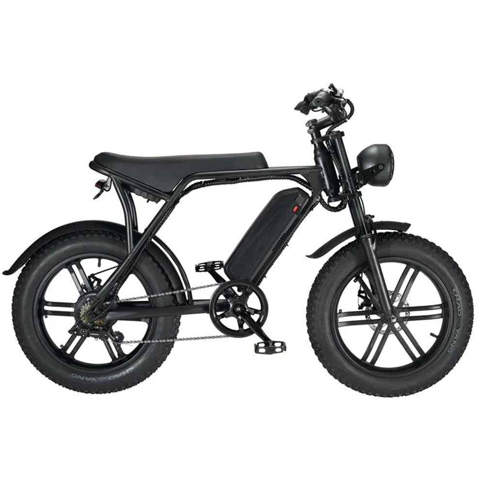 HKM-818323 750W/1000W 48V 15Ah Rear Hub Motor Electric Bicycle with 20 Inch Fat Tires and 7-Speed Gears