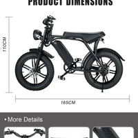 HKM-818323 750W/1000W 48V 15Ah Rear Hub Motor Electric Bicycle with 20 Inch Fat Tires and 7-Speed Gears
