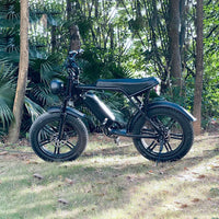 HKM-818323 750W/1000W 48V 15Ah Rear Hub Motor Electric Bicycle with 20 Inch Fat Tires and 7-Speed Gears