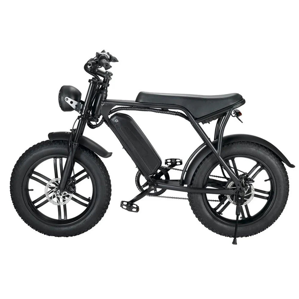 HKM-818323 750W/1000W 48V 15Ah Rear Hub Motor Electric Bicycle with 20 Inch Fat Tires and 7-Speed Gears