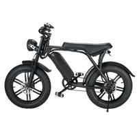HKM-818323 750W/1000W 48V 15Ah Rear Hub Motor Electric Bicycle with 20 Inch Fat Tires and 7-Speed Gears