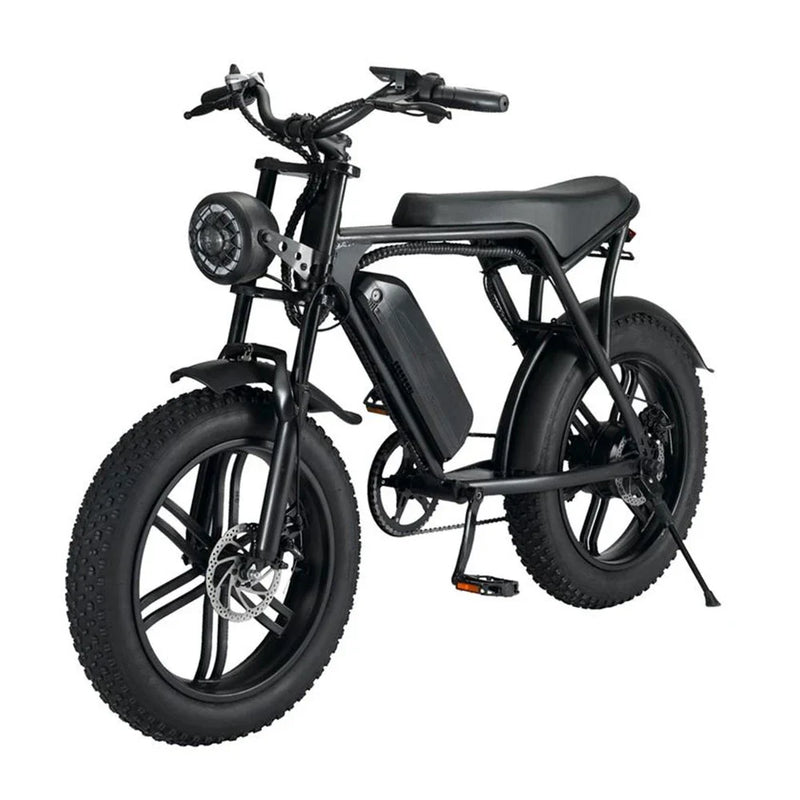 HKM-818323 750W/1000W 48V 15Ah Rear Hub Motor Electric Bicycle with 20 Inch Fat Tires and 7-Speed Gears