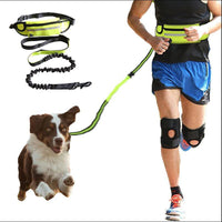 HKM-8184765 Adjustable Hands-Free Dog Leash with Shock Absorbing Bungee, Phone Pocket, and Water Bottle Holder for Large Dogs up to 180lbs