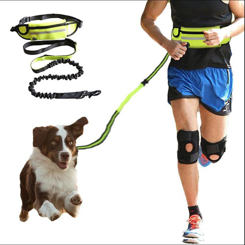 HKM-8184765 Adjustable Hands-Free Dog Leash with Shock Absorbing Bungee, Phone Pocket, and Water Bottle Holder for Large Dogs up to 180lbs