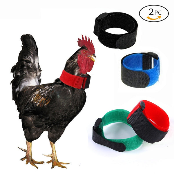 HKM-8189885 Pet Chicken Collar Set - 2-Pack Anti-Cock Ringing Neck Bands for Poultry - Christmas Colors