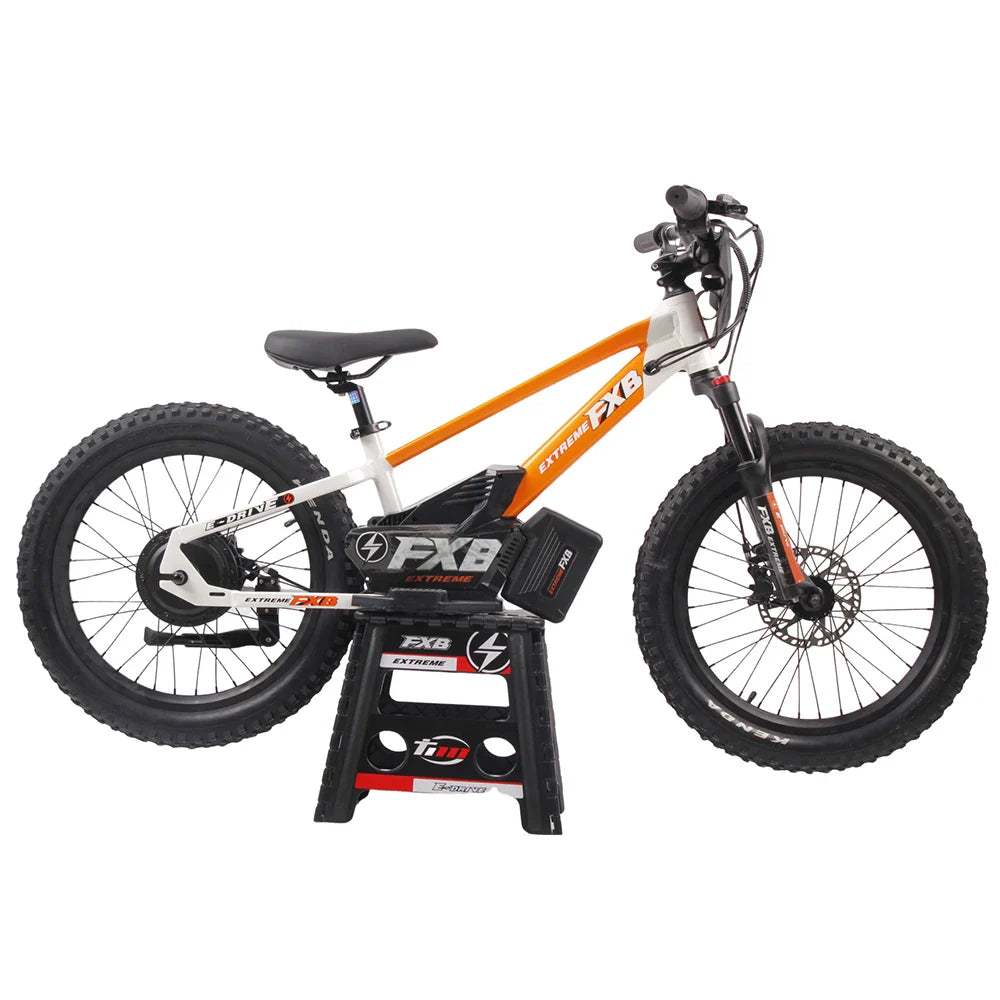 HKM-819411 36V 10Ah Electric Balance Bike with 800W Brushless Hub Motor, 20-Inch Frame, Hydraulic Disc Brakes, for Ages 8-14