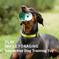 HKM-8194493 Interactive Treat Dispensing Puzzle Toy for Small to Medium Dogs – Enrichment Food Ball for Training and Slow Feeding
