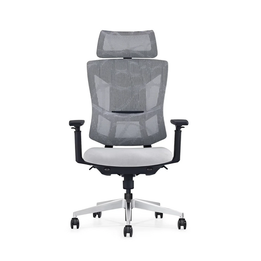 HKM-819603 Ergonomic Full Mesh Executive Office Chair with Multi-Function Reclining Feature