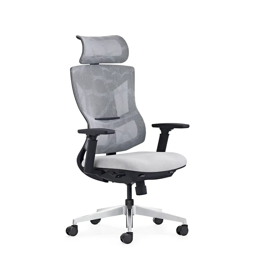 HKM-819603 Ergonomic Full Mesh Executive Office Chair with Multi-Function Reclining Feature