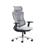 HKM-819603 Ergonomic Full Mesh Executive Office Chair with Multi-Function Reclining Feature
