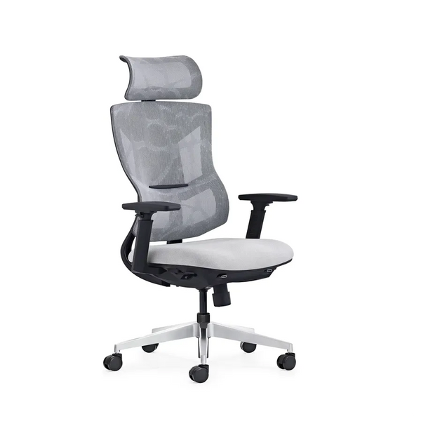 HKM-819603 Ergonomic Full Mesh Executive Office Chair with Multi-Function Reclining Feature