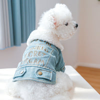 HKM-8197437 Pet Denim Cotton Coat with English Letters - Stylish Leisure Wear in Multiple Sizes