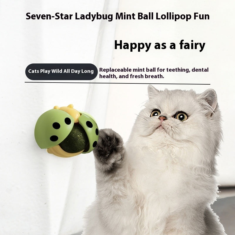 HKM-8207165 Ladybird Catnip Ball Toy for Pet Relaxation and Dental Care - Various Colors Available