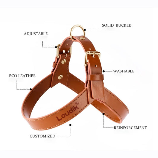 HKM-8207805 Adjustable Leather Harness and Leash Set for Dogs and Cats in Multiple Colors and Sizes