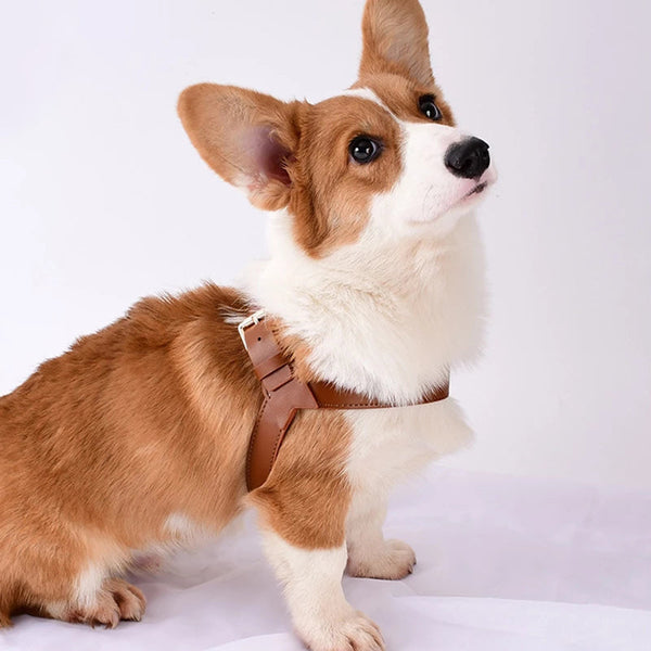 HKM-8207805 Adjustable Leather Harness and Leash Set for Dogs and Cats in Multiple Colors and Sizes