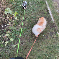HKM-8208317 Retractable Dual Dog Leash with 360-Degree Swivel, Reflective Handle, and Built-in Light for Small Dogs