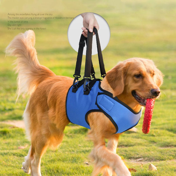 HKM-8213565 Rehabilitation Training Belt for Senior Dogs, Adjustable Oxford Fabric, Blue, Sizes S-L