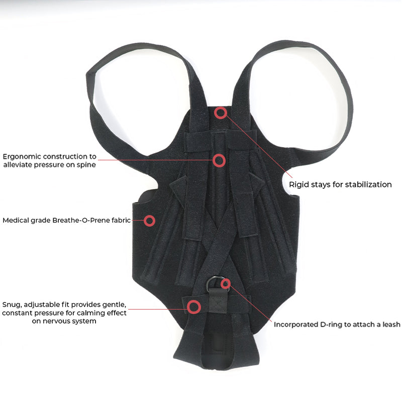 HKM-8213949 Dog Back Brace for IVDD, Arthritis, Back Pain, and Surgical Recovery - Adjustable Support for Stability and Comfort