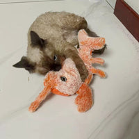 HKM-8221501 Interactive USB Charging Cat & Dog Plush Toy - Catnip Lobster with Touch Sensor