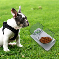 HKM-8223805 Cervical Support Feeding Basin for Cats and Kittens - Single, Double, or Triple Bowl Options