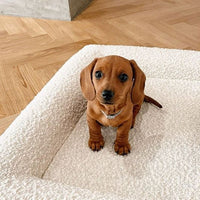 HKM-8224061 Beige Rectangular Bed Sofa Nest for Dogs - Various Sizes Available