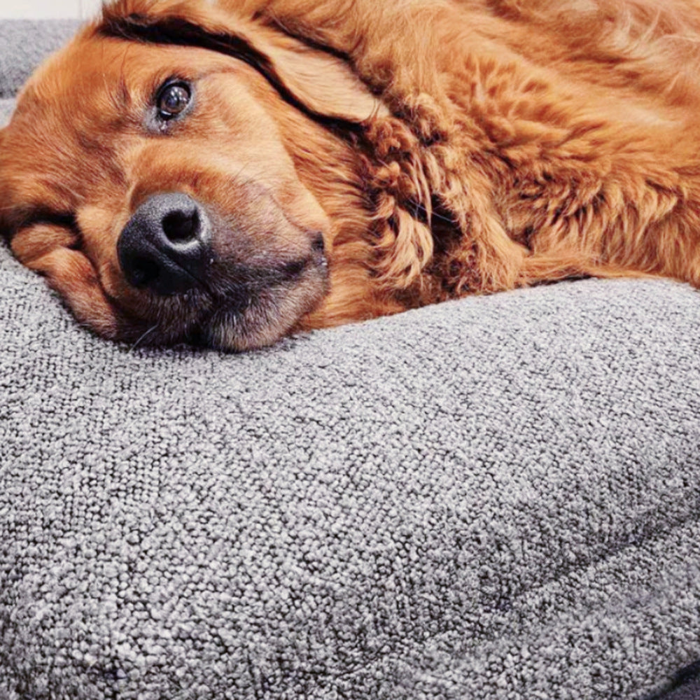 HKM-8224061 Beige Rectangular Bed Sofa Nest for Dogs - Various Sizes Available