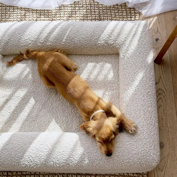 HKM-8224061 Beige Rectangular Bed Sofa Nest for Dogs - Various Sizes Available