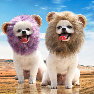 HKM-8224829 Adorable Pet Lion and Cartoon Hats for Every Season - Brown, Purple, and More
