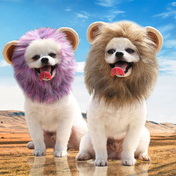 HKM-8224829 Adorable Pet Lion and Cartoon Hats for Every Season - Brown, Purple, and More