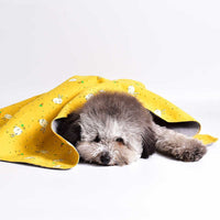 HKM-8226621 Cozy Double-sided Cotton Velvet Pet Blanket - Various Cute Designs and Sizes