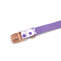 HKM-8227773 Purple Polka Dot Pet Collar with Rose Gold Accents - Scalable Cloth Design, Multiple Sizes Available