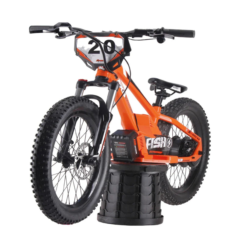 HKM-822867 20 Inch Electric Balance Bike for Children with 600W Motor and 36V Battery
