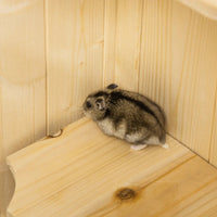 HKM-8229437 5-Tier Wooden Hamster and Small Animal Cage with Openable Top and Storage Shelf