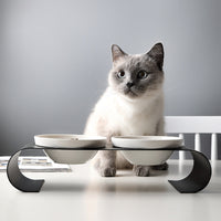 HKM-8231613 Double Bowl Dog Bowl Set with Iron Frame and Ceramic Bowls for Cats