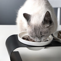 HKM-8231613 Double Bowl Dog Bowl Set with Iron Frame and Ceramic Bowls for Cats