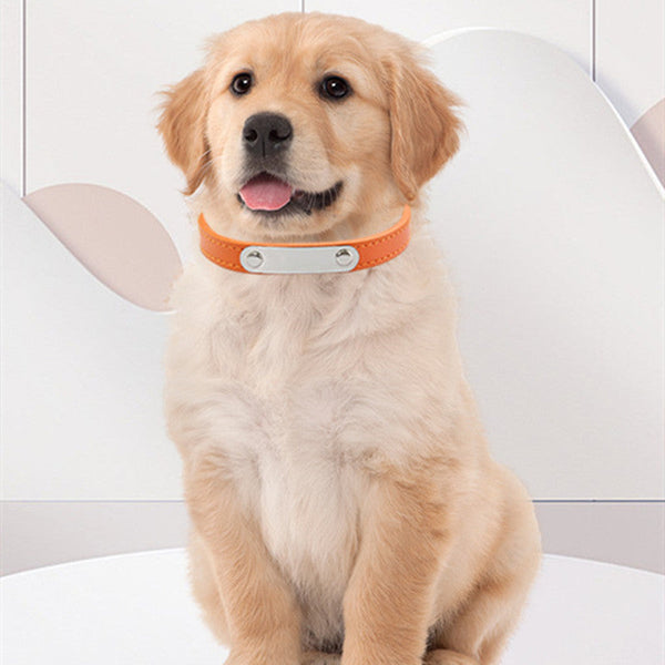 HKM-8237373 Personalized Monochrome Dog Collar with Adjustable Sizing Options in Various Colors