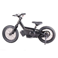 HKM-824019 Kids Electric Balance Bike, 36V 5.0AH, 14 Inch, No Pedal Racing Bicycle for Ages 2-5, Lightweight Aluminum Frame, Disc Brake