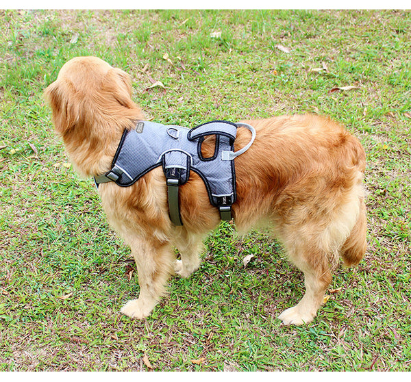 HKM-8240573 Adjustable Dog Chest Strap for Large Breeds - Available in Gray, Red, Blue, Size S-XL